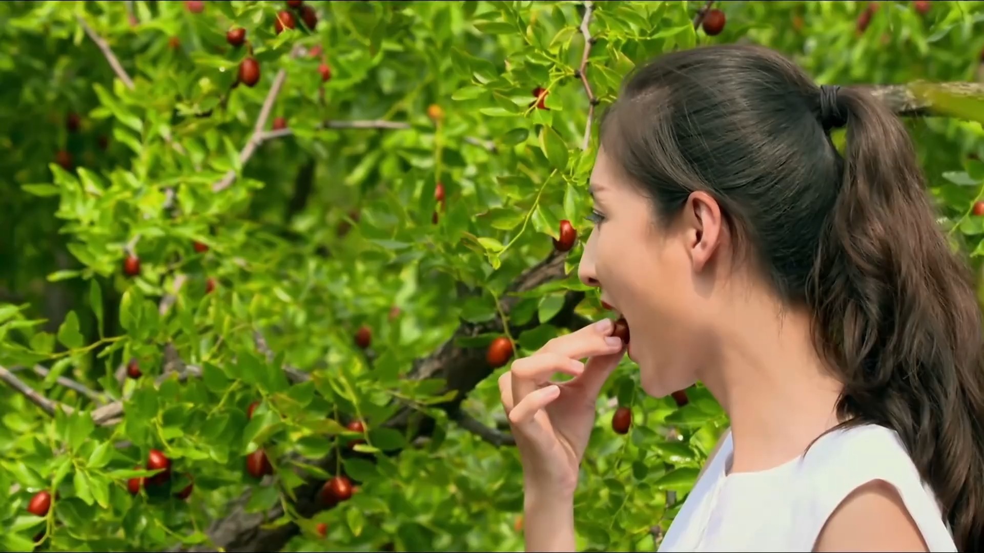 德州乐陵市:美食为媒 传递香飘万里的厚道味道哔哩哔哩bilibili