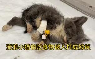 Download Video: 不到两个月大的小猫偷吃食物，被人打成这幅模样