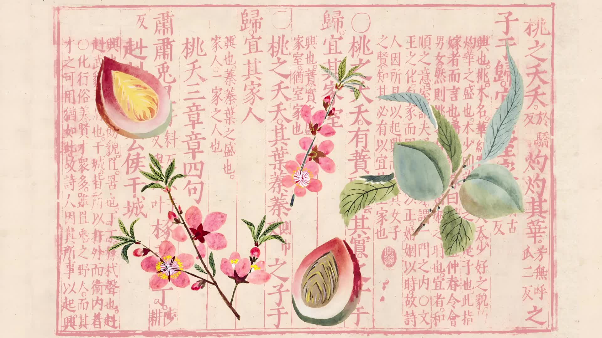 诗经·周南·桃夭