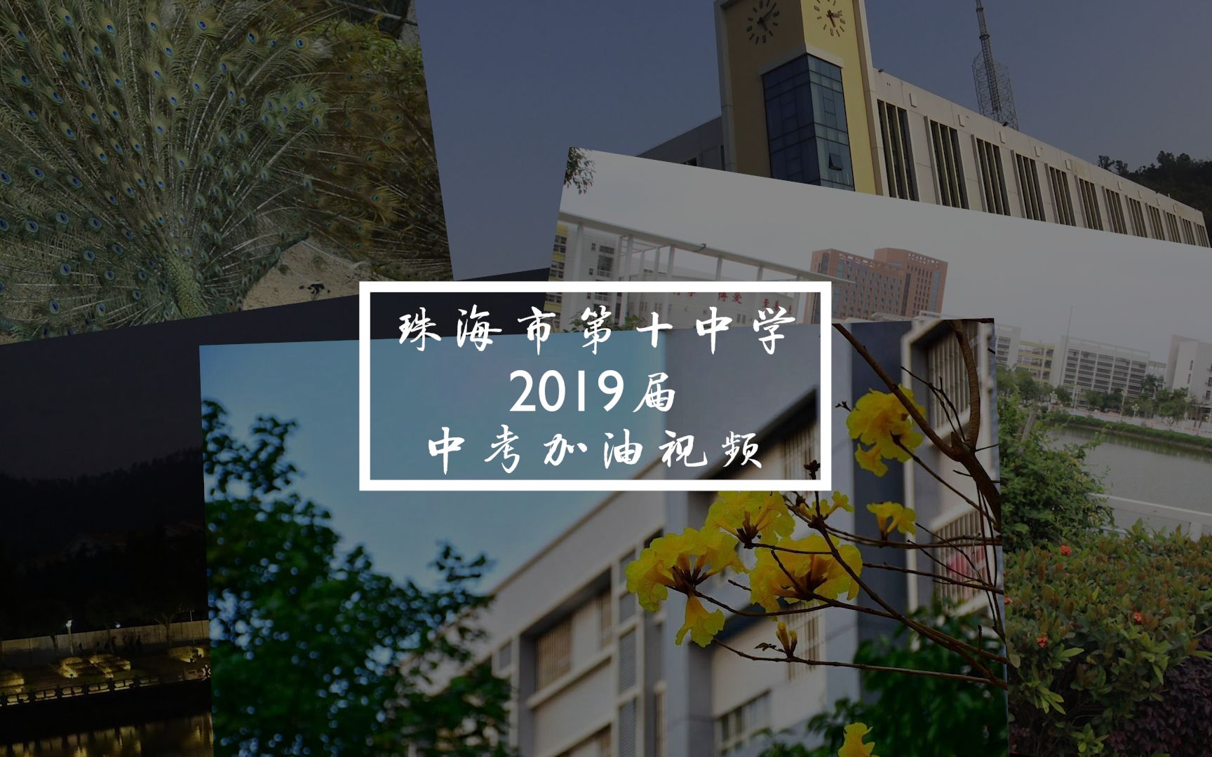 珠海十中2019届中考加油视频哔哩哔哩bilibili