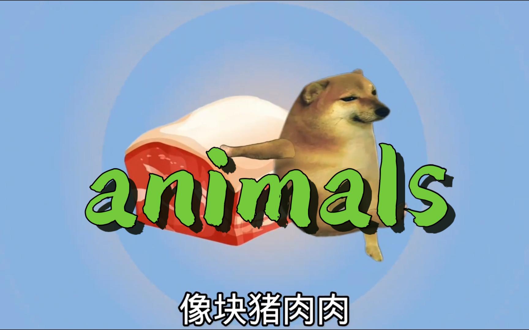 歌曲《animals》动物版 | 每日一笑哔哩哔哩bilibili