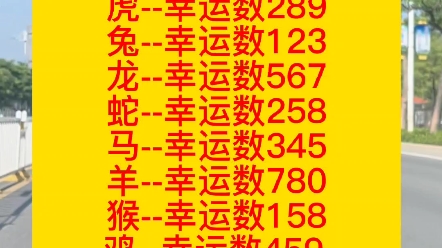 汽车车牌号怎么选择呢?#汽车知识 #车牌号码的含义 #车牌号码选择哔哩哔哩bilibili