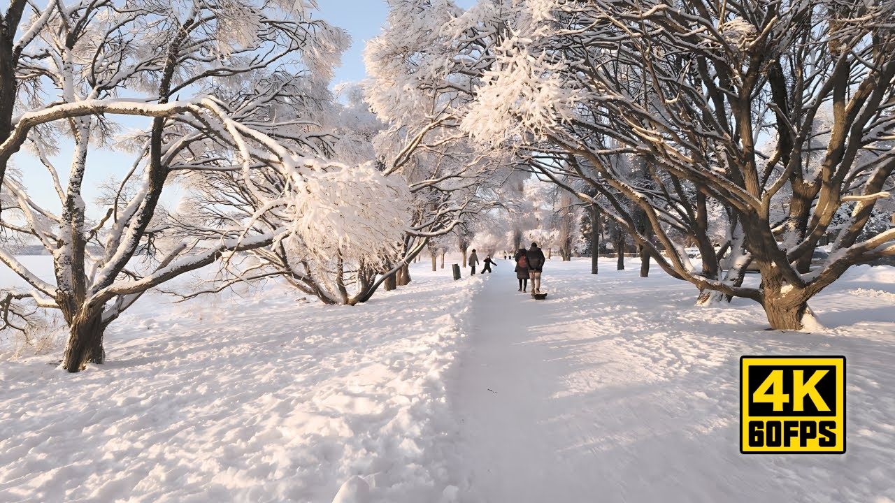【4k60帧】放松解压:芬兰赫尔辛基冬季雪景漫步 2023年12月31日 (kask