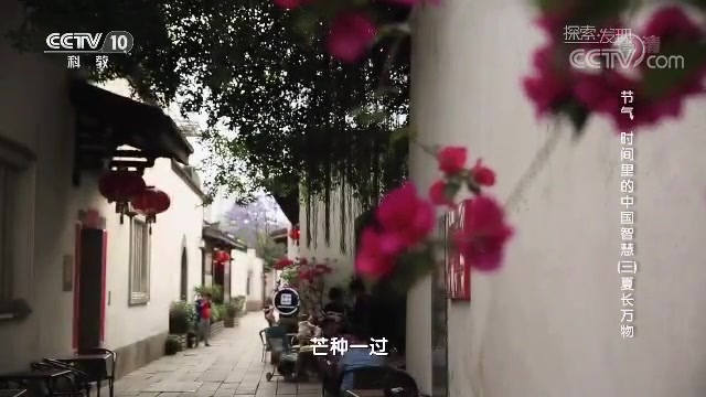 [图]芒种节气为什么要送花神