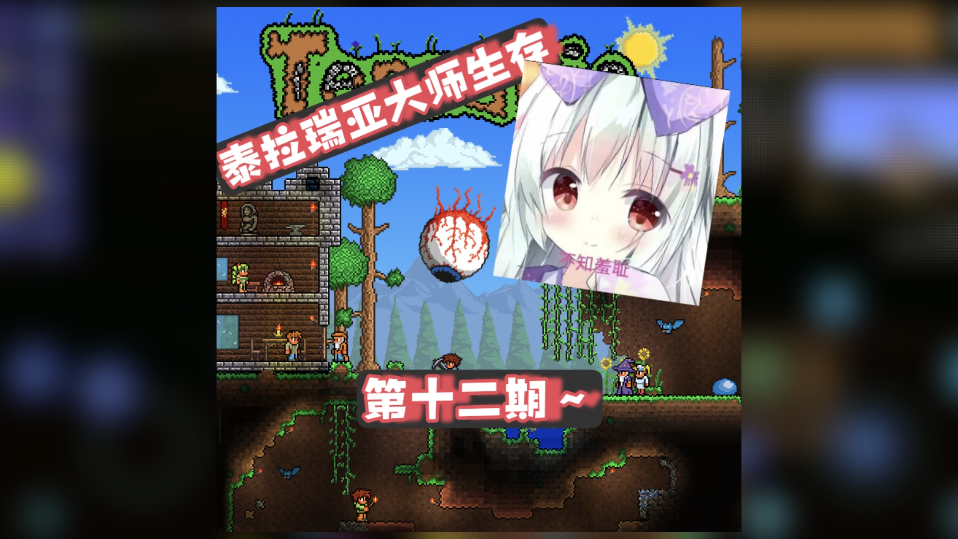 泰拉瑞亚大尸生存第十二期