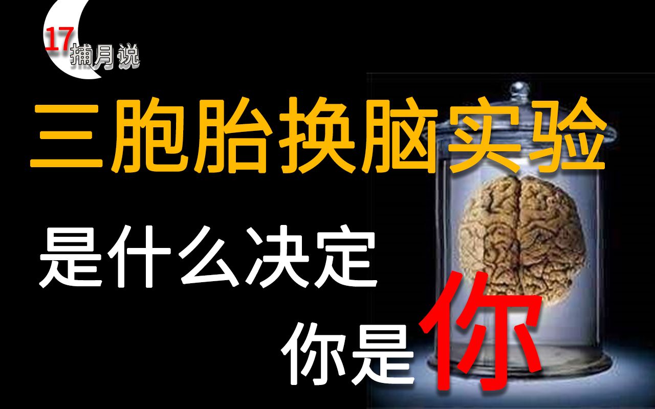 裂脑人的半脑人格,是什么界定着“你”?【捕月说17期】哔哩哔哩bilibili