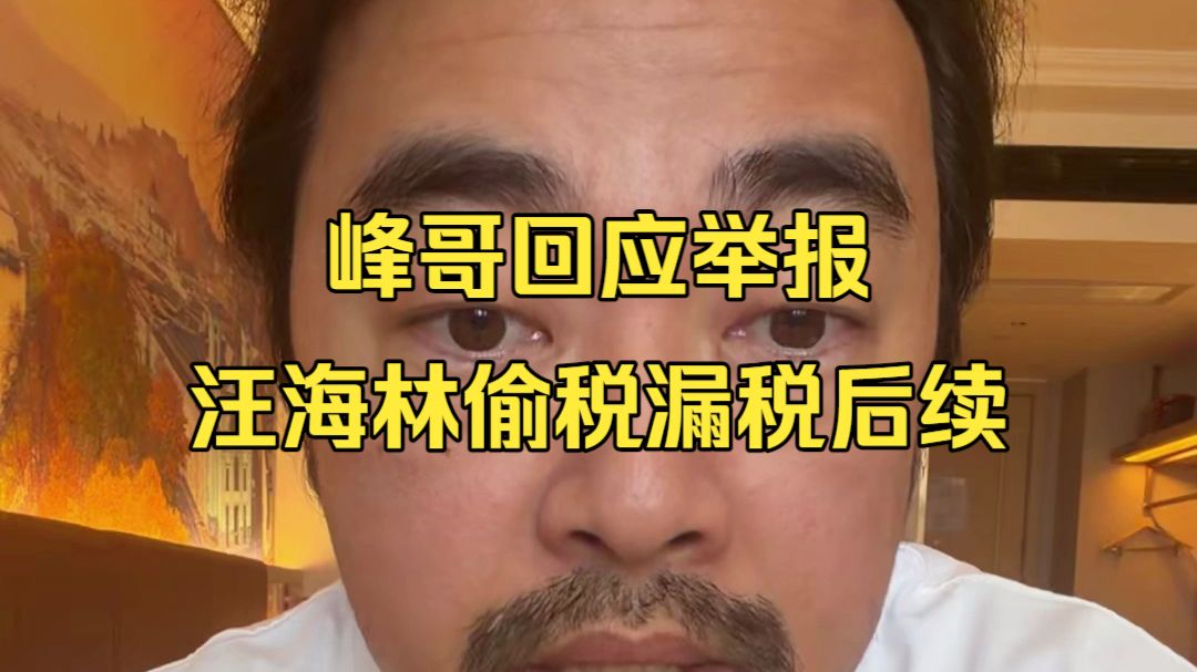 峰哥回应举报 汪海林偷税漏税后续