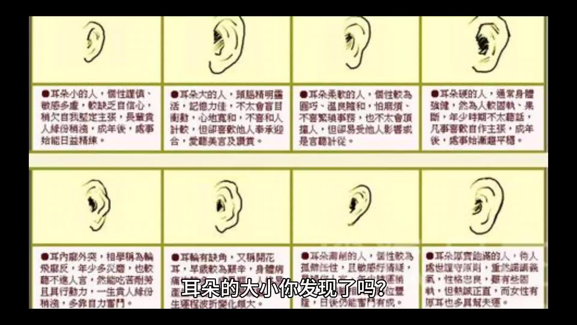 耳朵的大小不一样