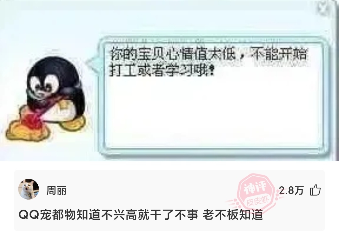 网络上的爆笑吊图:狮子是什么科?哔哩哔哩bilibili