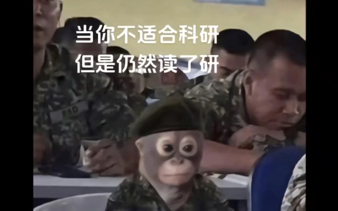 【搞笑视频】当你不适合科研但仍然读了研