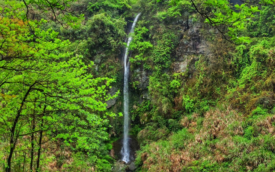 祁东花屋,有祁东小九寨之誉,虫鸣鸟叫,绿树飞瀑