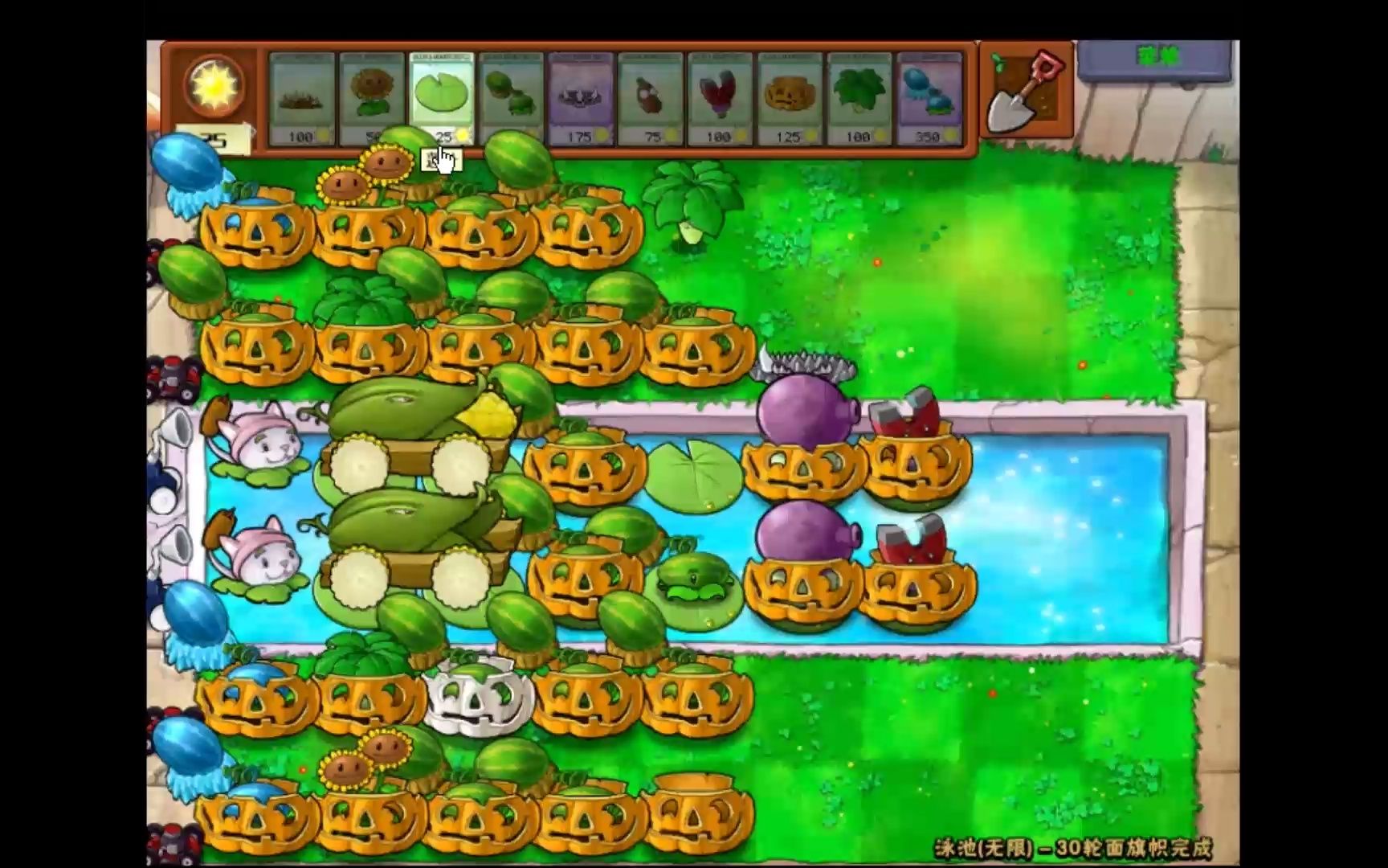 泳池无尽-我的历史最高记录