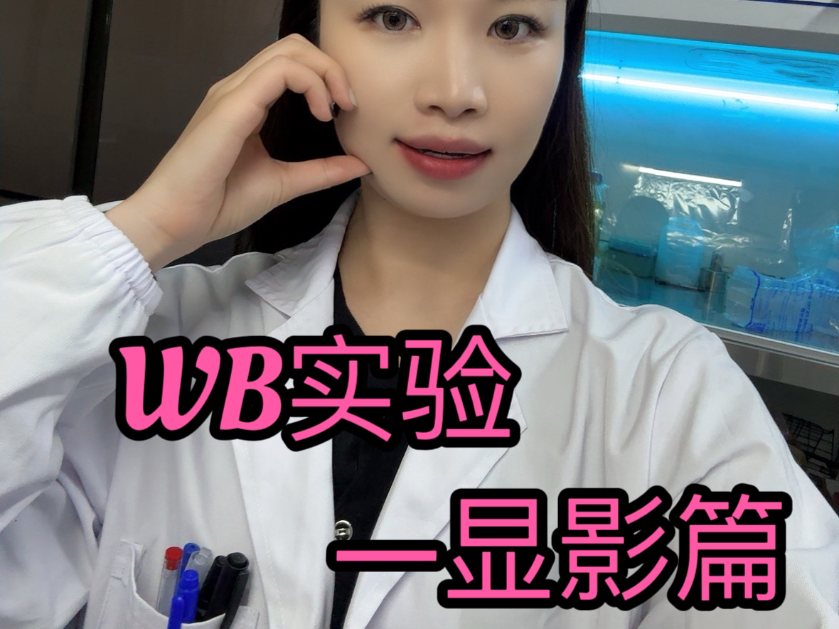 生物博士学姐手把手教你WB实验之显影哔哩哔哩bilibili