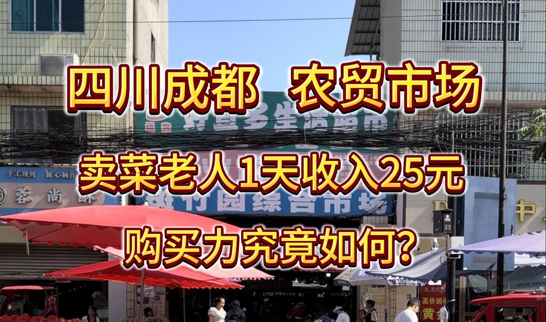 四川成都,卖菜老人1天收入25元的购买力究竟如何?——峰成户全国购买力系列视频S01E05哔哩哔哩bilibili