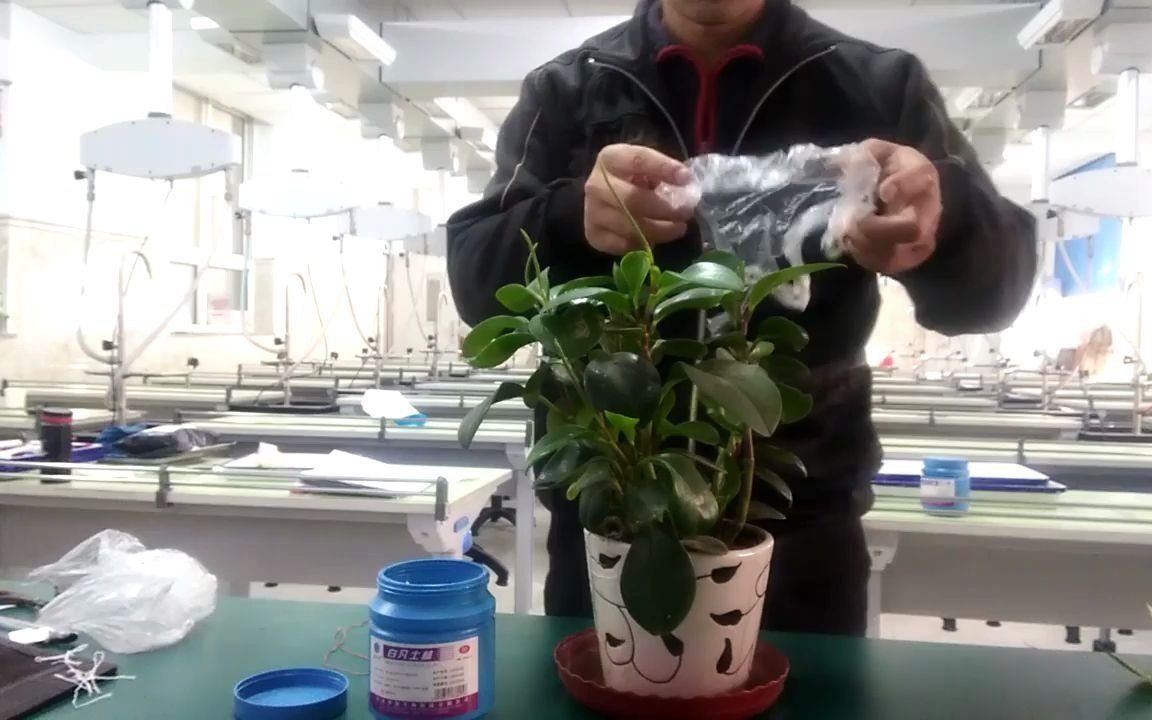 植物蒸腾作用视频哔哩哔哩bilibili