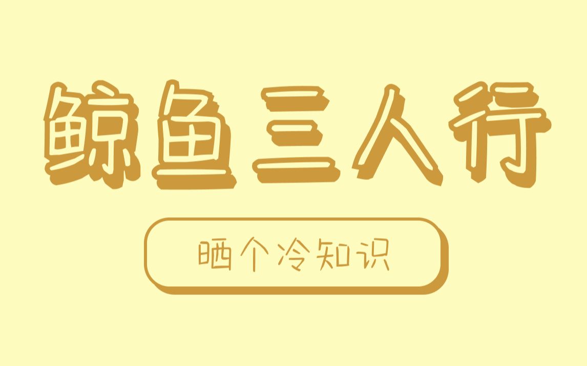 灰鲸为了繁衍后代,一般都是三头灰鲸一起才能操作哔哩哔哩bilibili