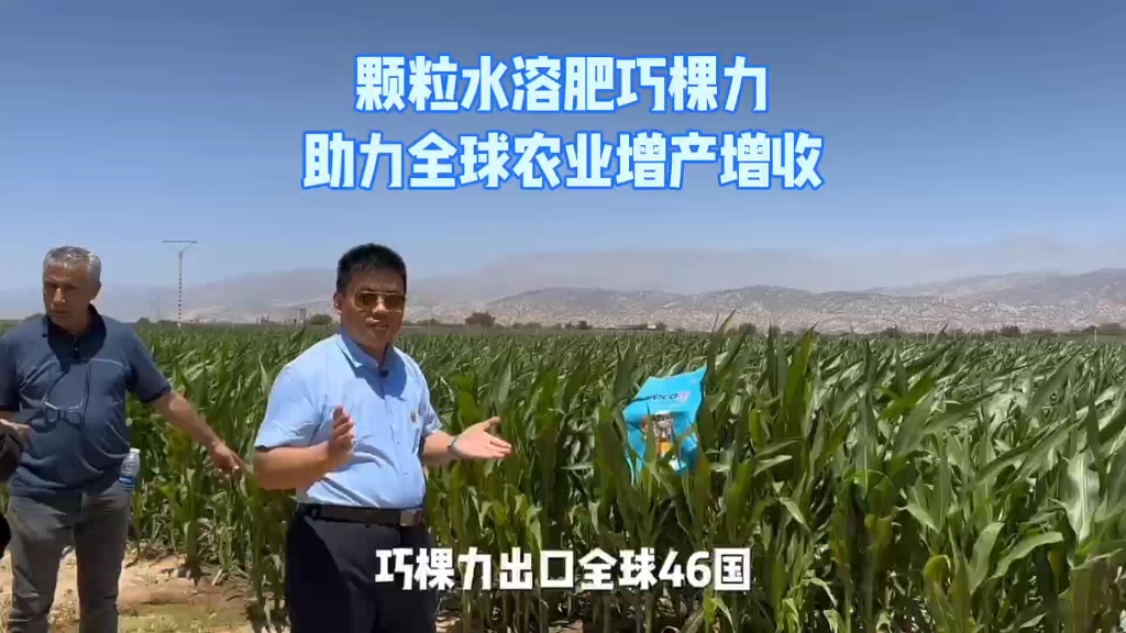 颗粒水溶肥巧棵力助力全球农业增产增收