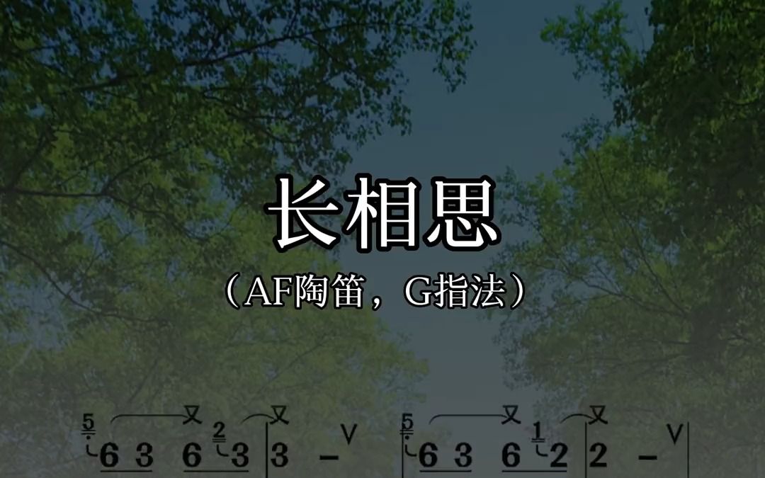 长相思,陶笛动态谱,有声简谱