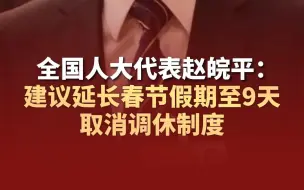 下载视频: 全国人大代表赵皖平：建议延长春节假期至9天 取消调休制度