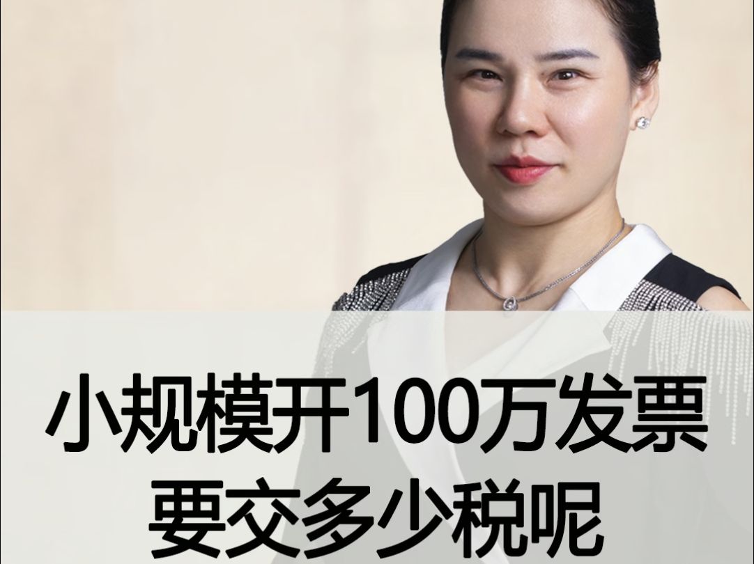 100万发票!小规模纳税人如何轻松应对税务挑战?哔哩哔哩bilibili