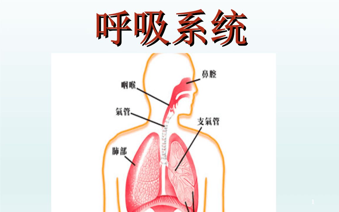 护理课程之呼吸衰竭病人的护理哔哩哔哩bilibili