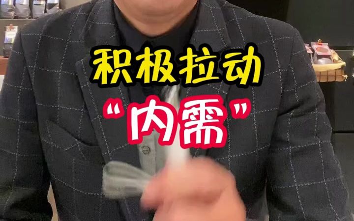 积极拉动“内需”哔哩哔哩bilibili