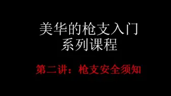 美国华人的枪支入门系列课程（二）枪支安全须知