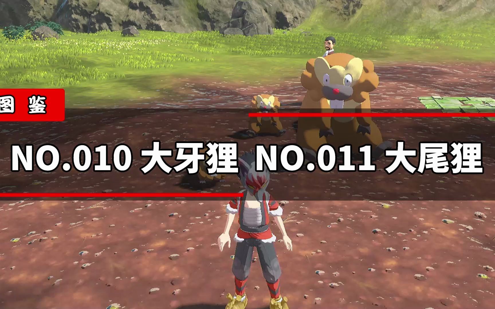 阿尔宙斯大牙狸怎么进化 在中国是否有某方言保留了古汉语的一些发音