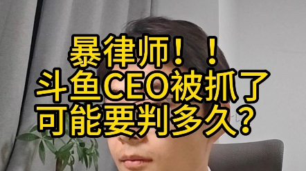 暴律师!!斗鱼CEO陈少杰被抓了,可能要判多久?#斗鱼CEO陈少杰被逮捕哔哩哔哩bilibili