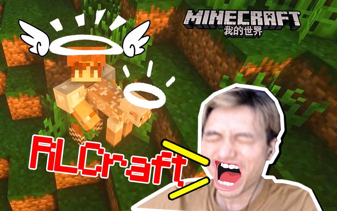 羊羊君和我一起重生了 我的世界籽岷 rlcraft生存
