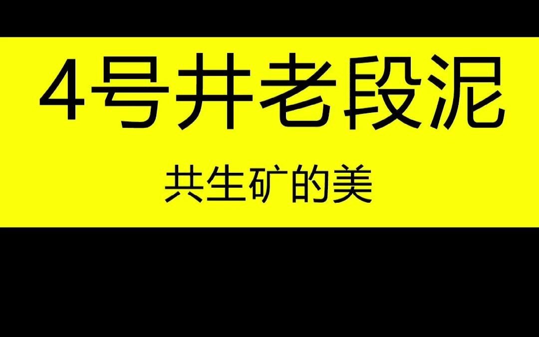 [图]庄庄紫砂：一起来欣赏下，四号井段泥呈现的美~