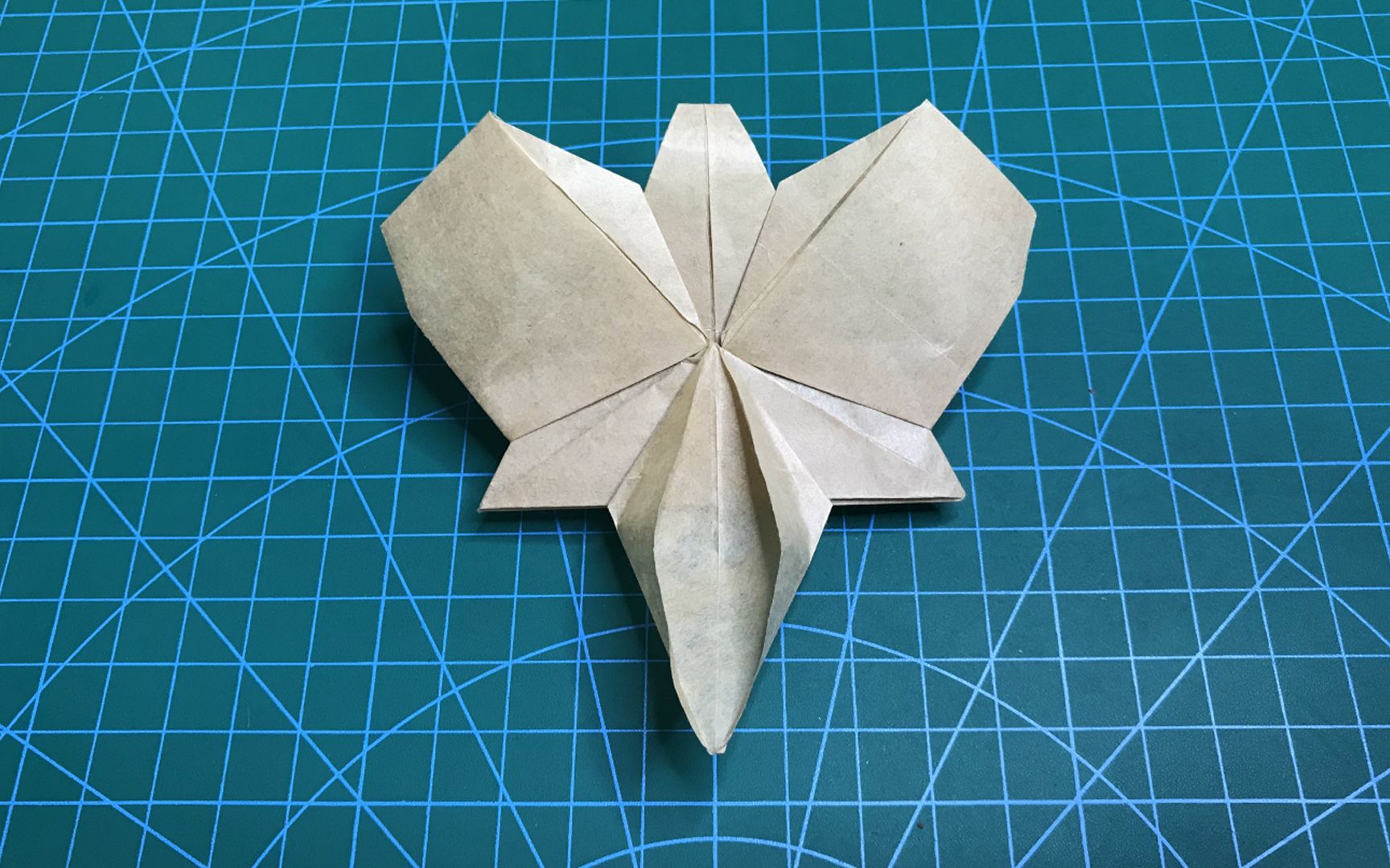 手工折纸兰花图片