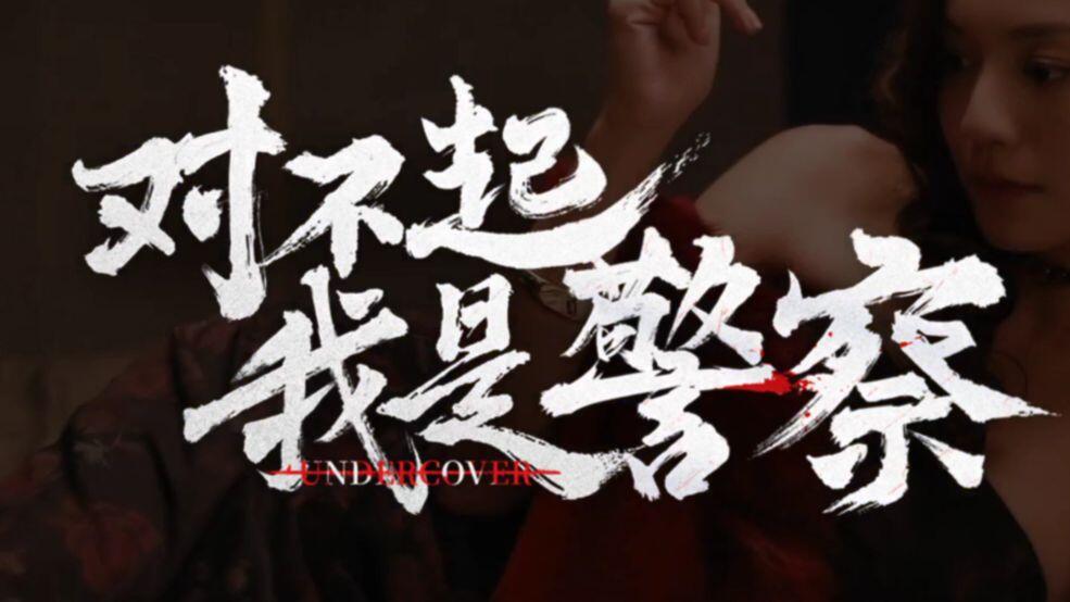 对不起，我是警察 全成就视频封面