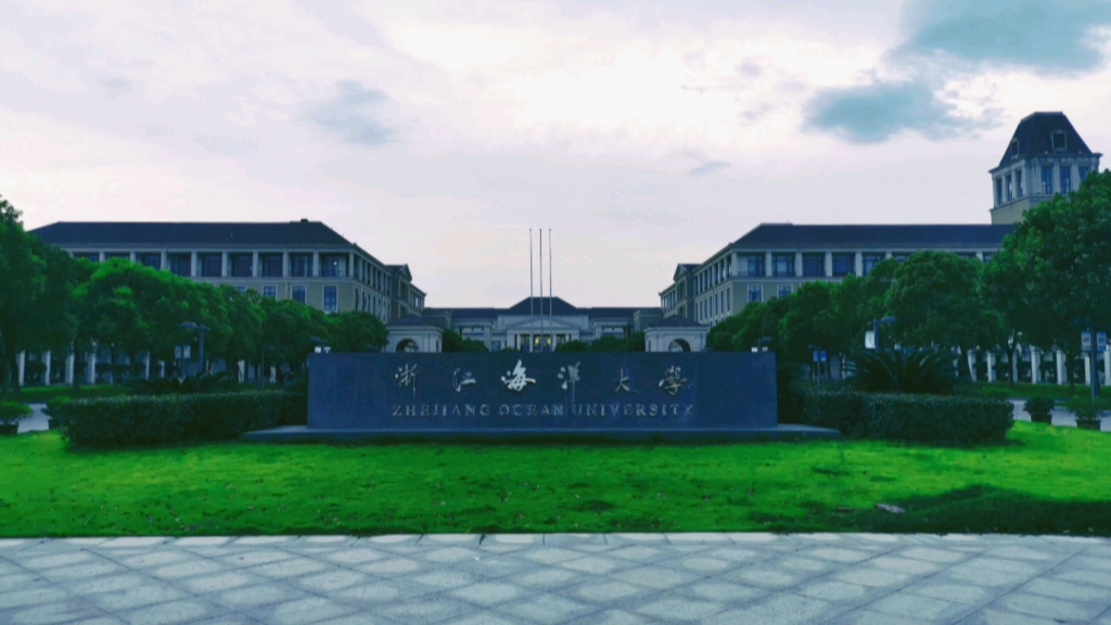 大学初体验,记录大一上学期的一些感想哔哩哔哩bilibili