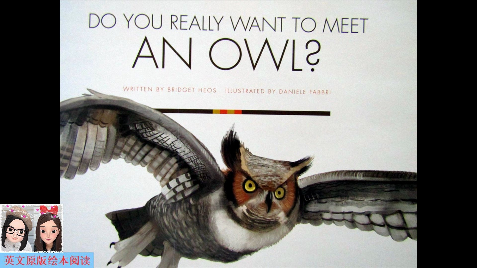 【英文绘本阅读】Do You Really Want to Meet an Owl? 你想见猫头鹰吗?哔哩哔哩bilibili