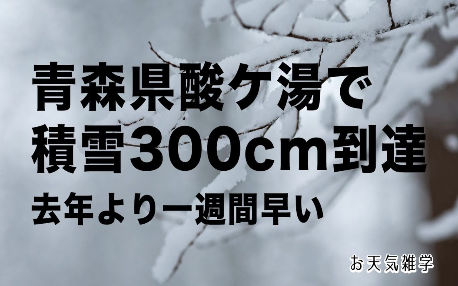 [图]【天气杂学】青森県酸ケ湯的积雪达到了300cm