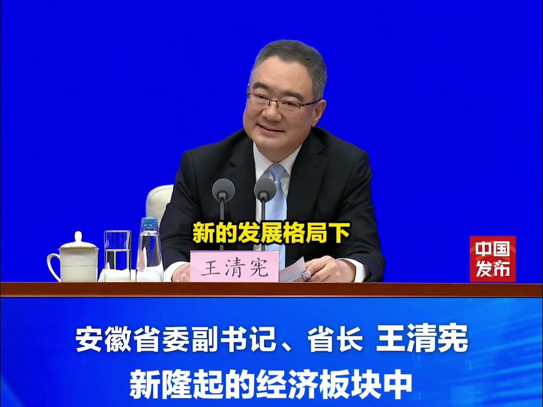 王清宪:新隆起的经济板块中,一定会有安徽!