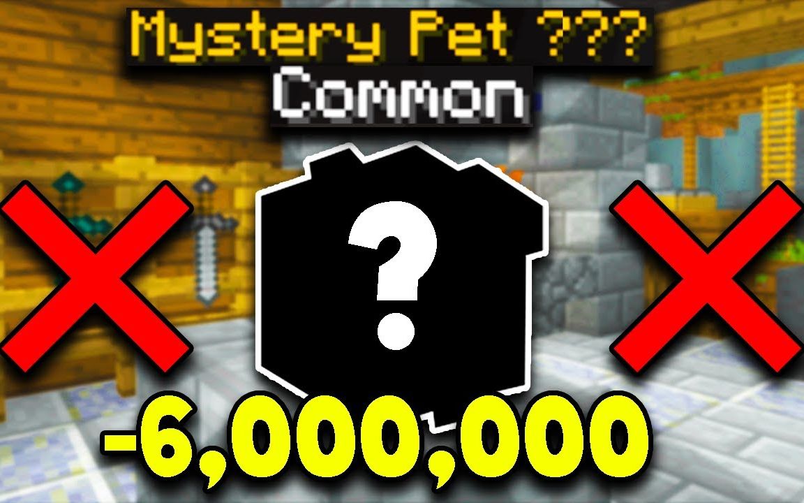 hypixelskyblock谁再去搞什么宠物都是sillyb