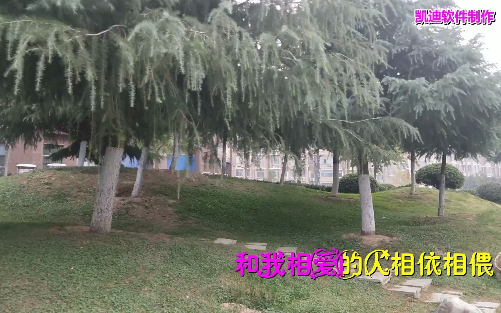 [图]《杯水情歌》《胭脂扣》经典老歌：《把愛留下來》宁静悠远，婉转低沉