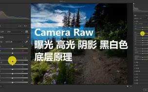 Скачать видео: 2分钟讲清楚，Camera Raw滤镜中，曝光高光阴影黑白色的底层原理