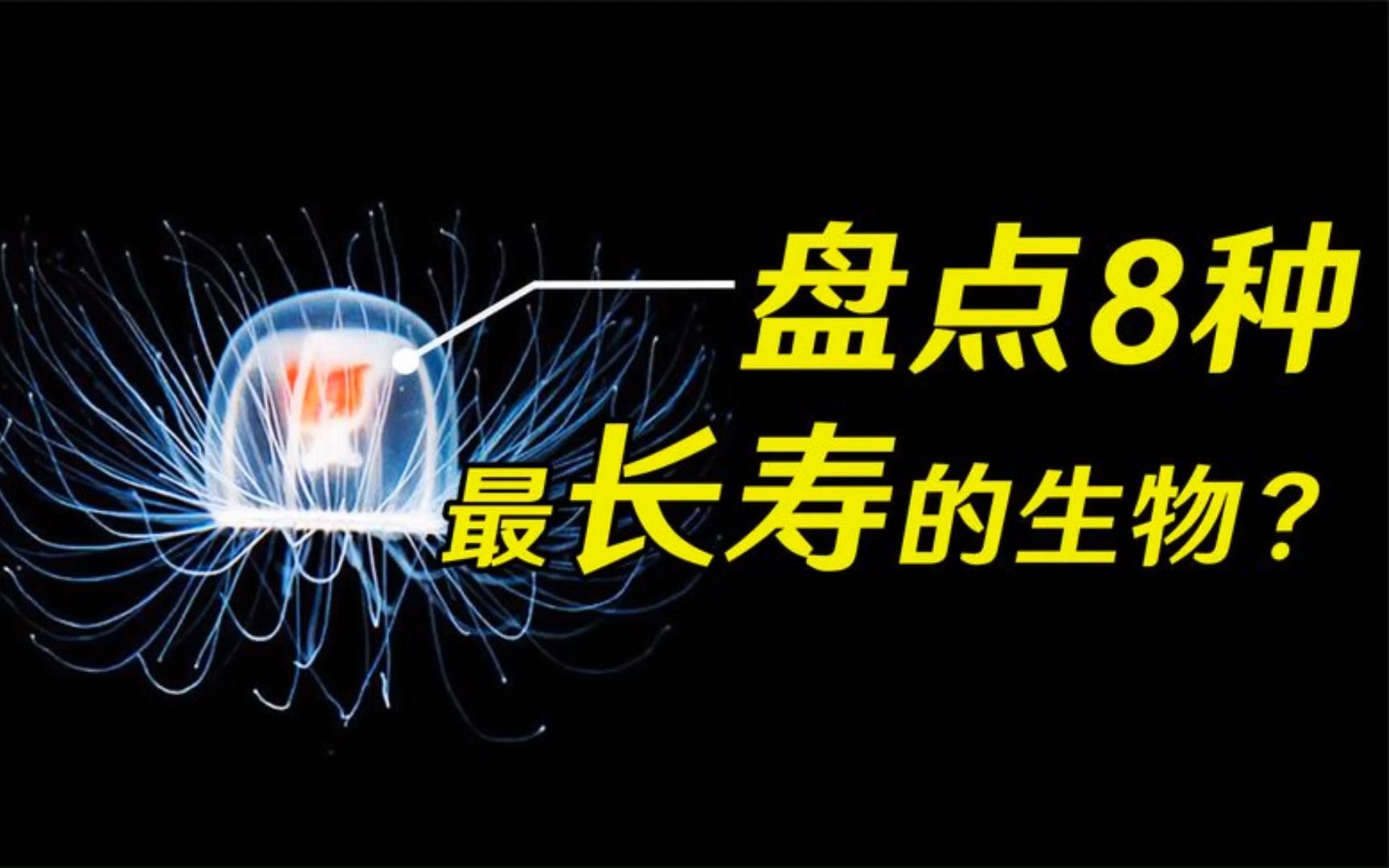 盘点地球上寿命最长的8种动物,最后一名灯塔水母,可以返老还童.哔哩哔哩bilibili