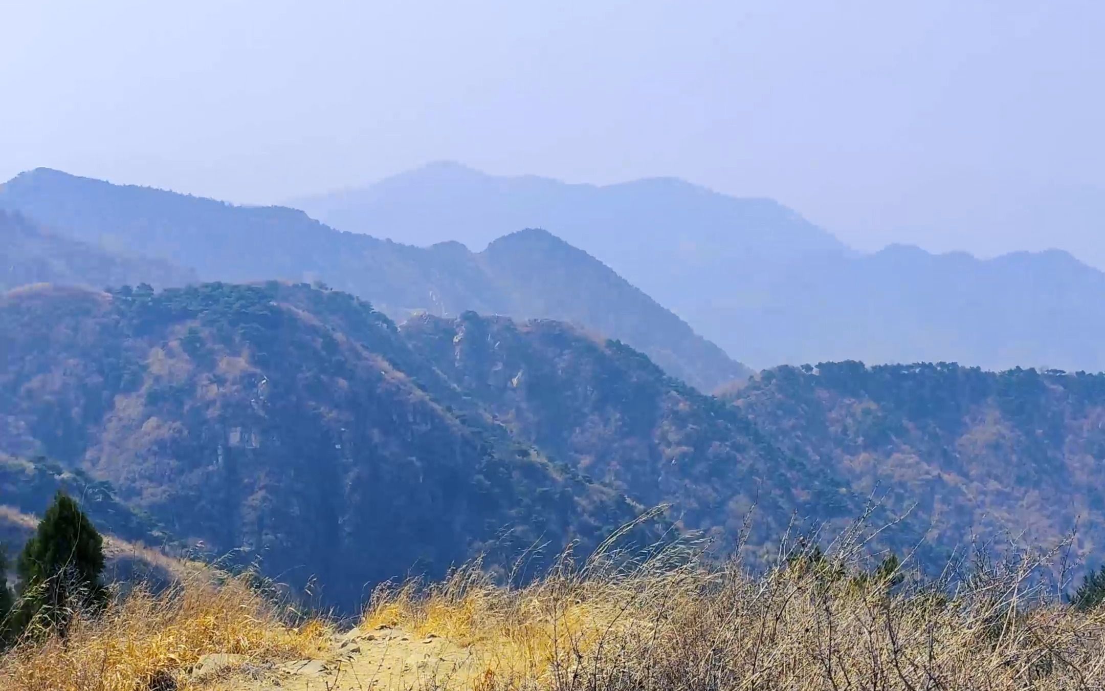 登顶济南最高山—梯子山,一座未开发的野山哔哩哔哩bilibili