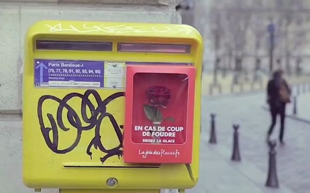 爱情玫瑰应急箱