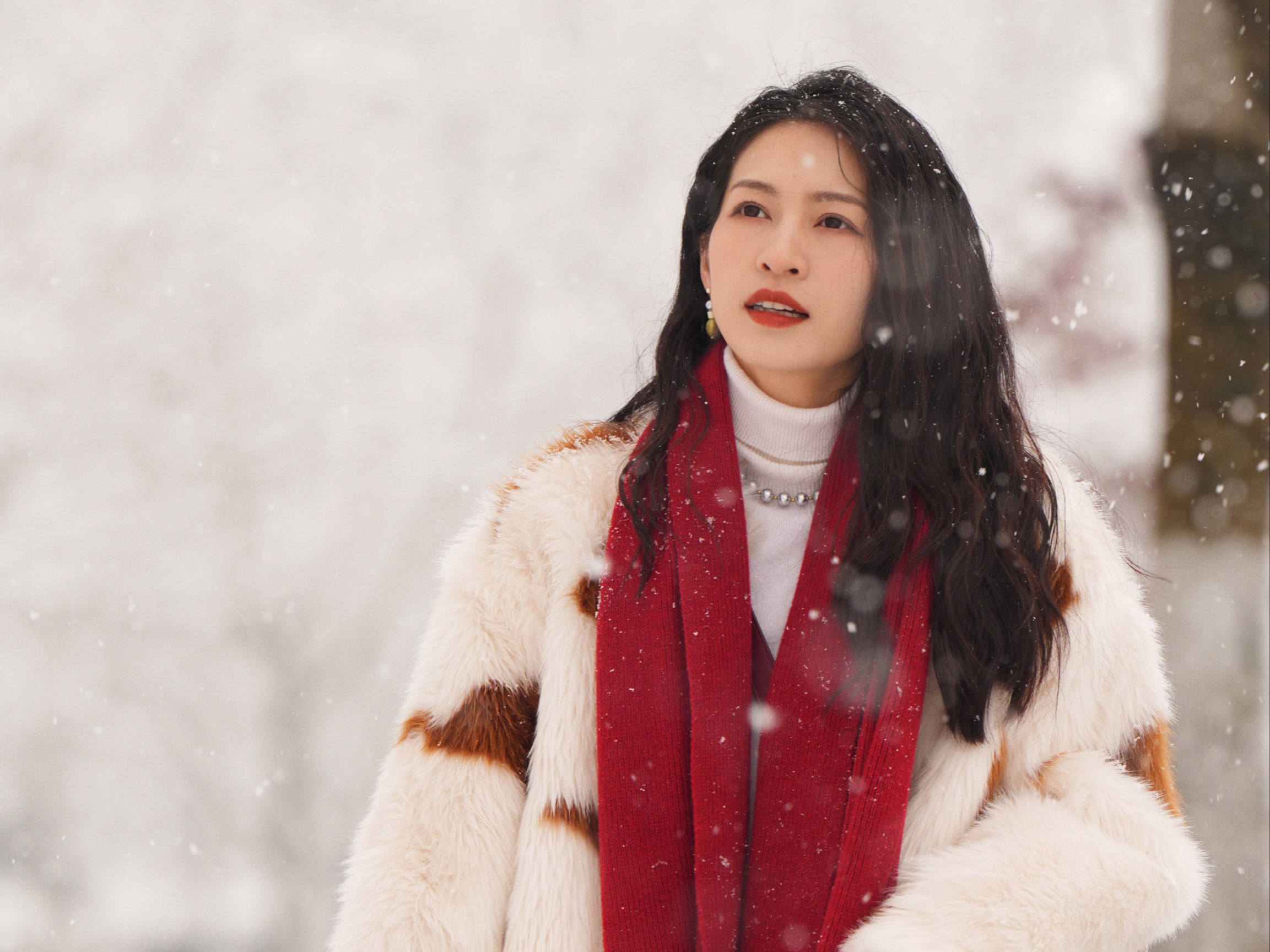 我期待的不是雪,而是有你的冬天