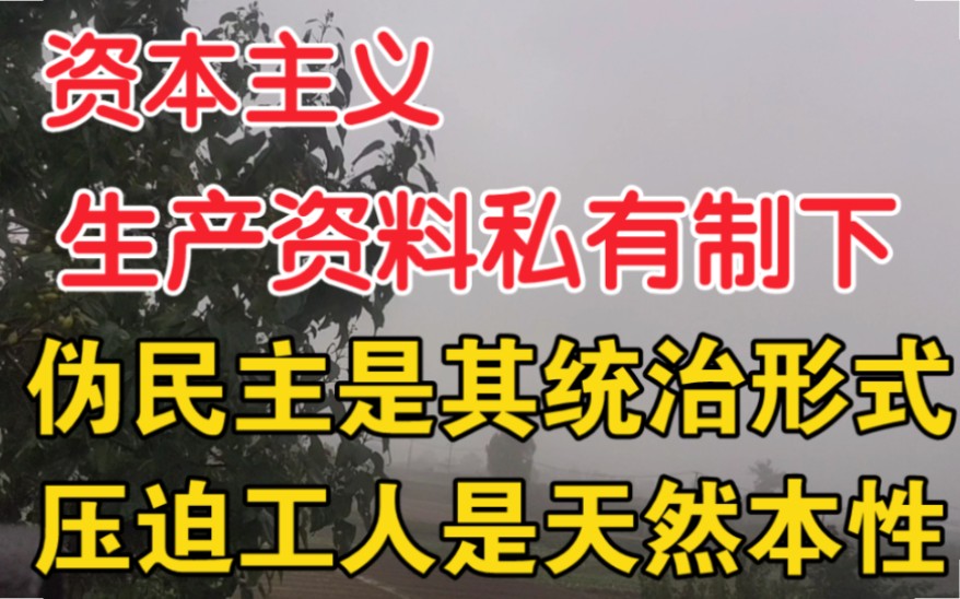 资本主义生产资料私有制下,其民主是伪民主,是一种统治形式.压迫工人是其天然的本性.哔哩哔哩bilibili