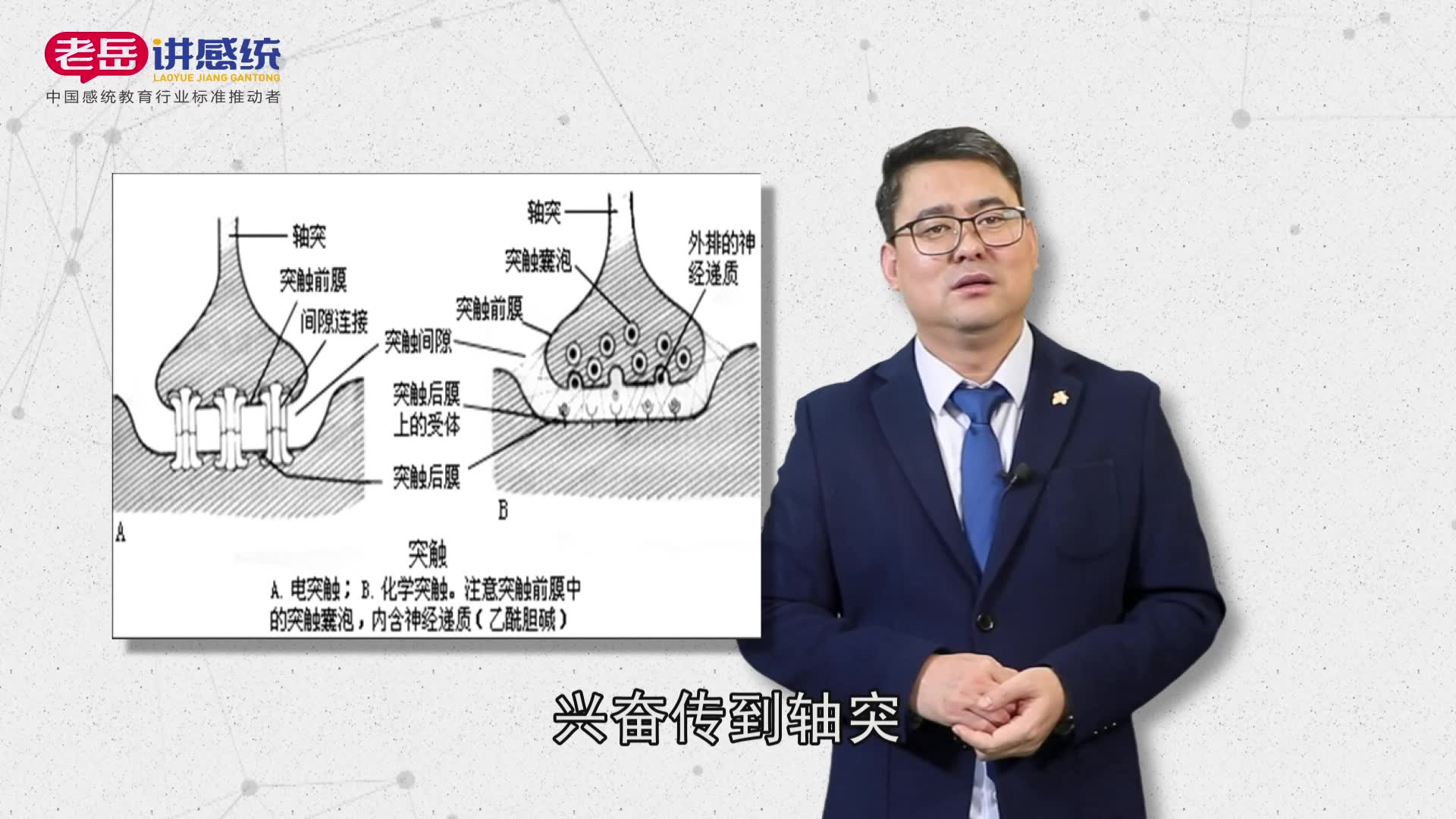 感统知识百科:神经递质是神经元之间的“信使”哔哩哔哩bilibili