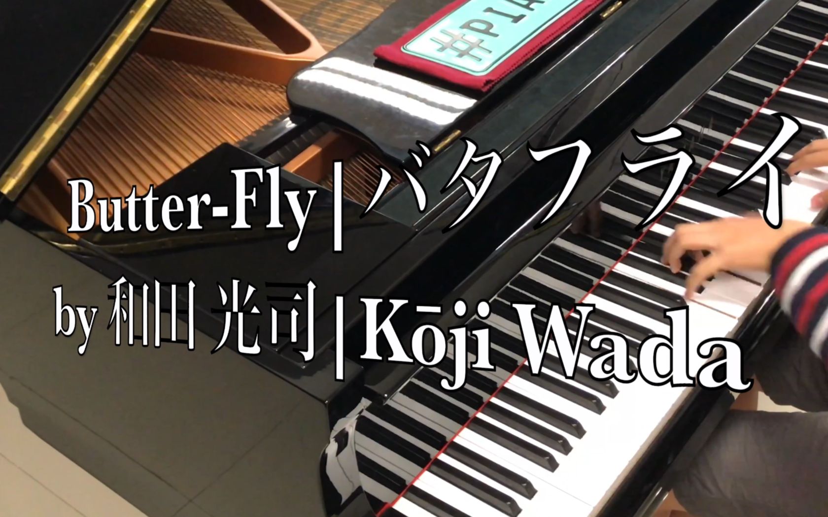 pianominion数码宝贝opbutterfly钢琴版