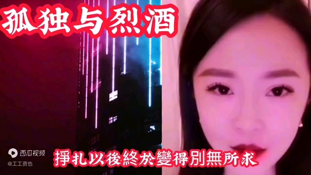 歌曲《孤独与烈酒》哔哩哔哩bilibili