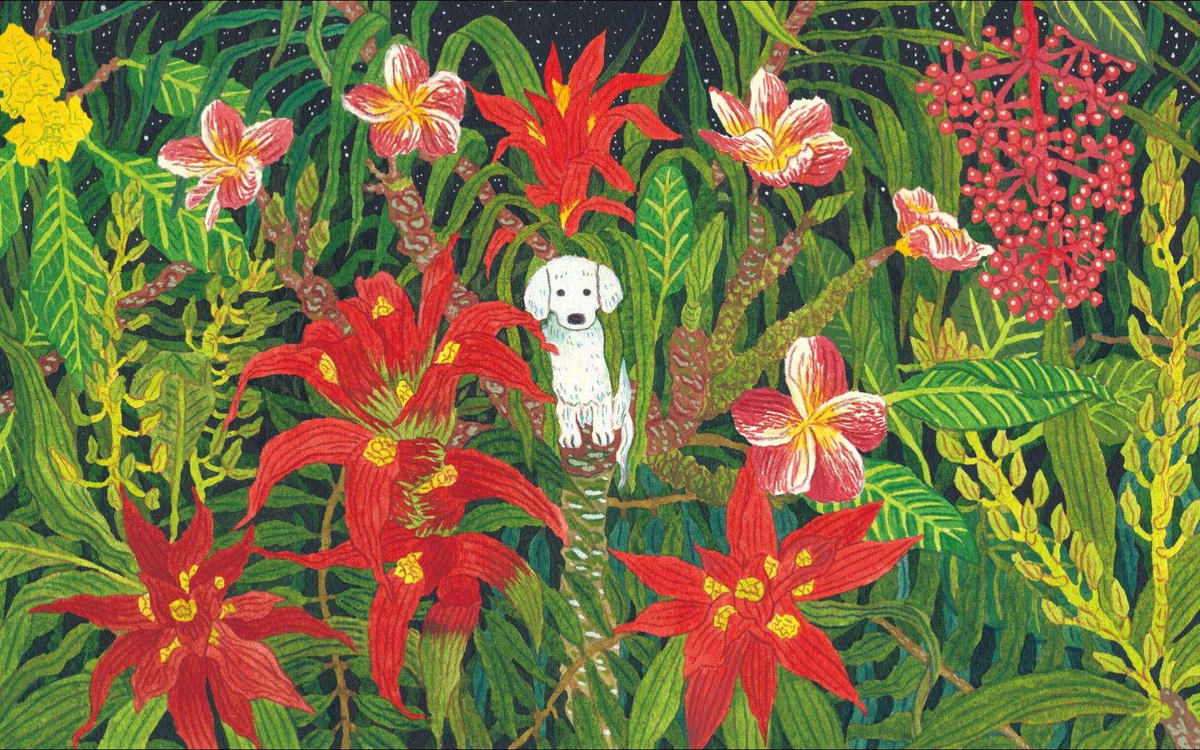 守护之花 & 不想遺忘的風景丨治愈系插画师:中村一般