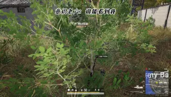 我白银，所以这就是白银的意识